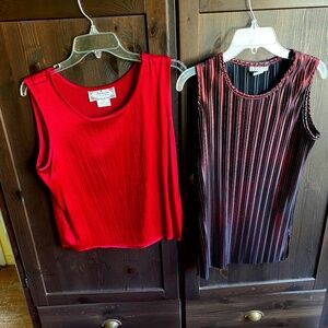Shimmery, Stylish Tops for Fall /Holidays - Set of 2!